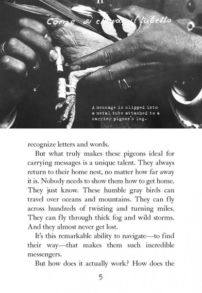 Lauren Tarshis: Courageous Creatures