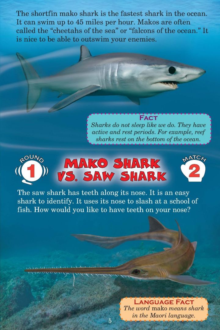 Jerry Pallotta: Who Would Win? Ultimate Shark Rumble