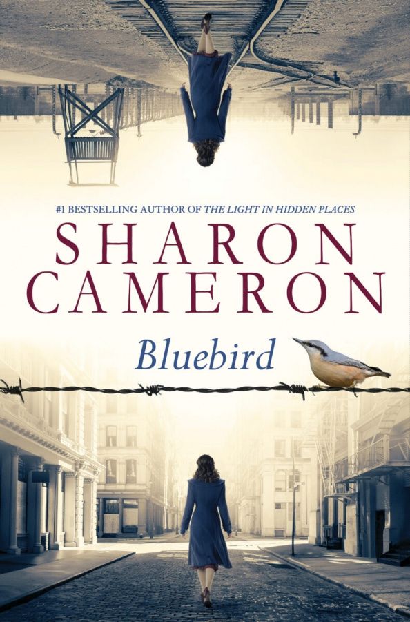 Sharon Cameron: Bluebird