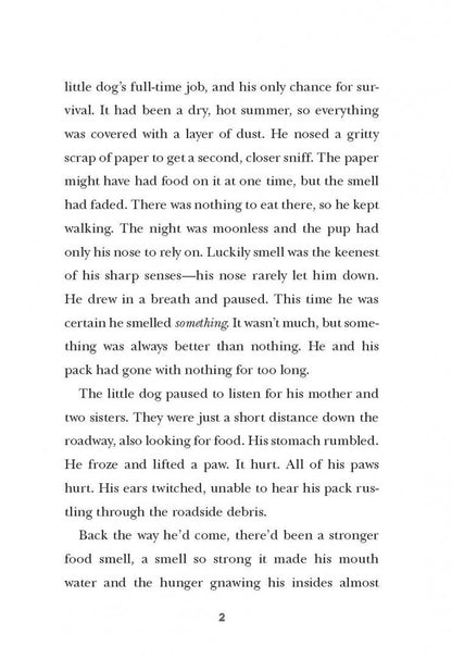 Jane Mason: Dusty