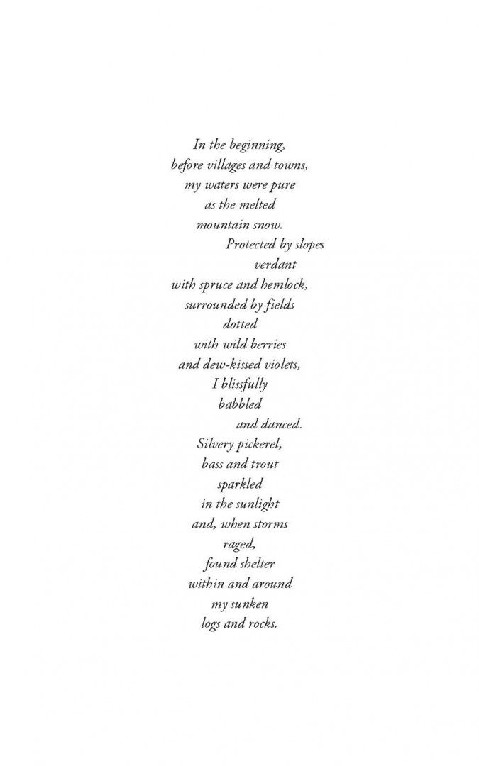 Ann Burg: Flooded