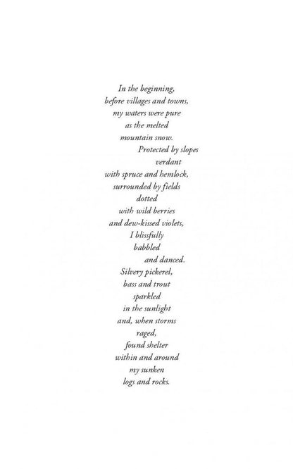 Ann Burg: Flooded