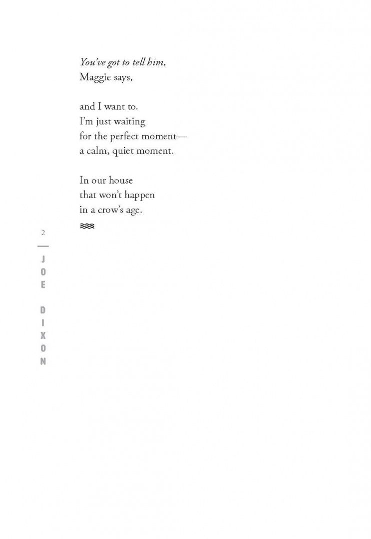 Ann Burg: Flooded