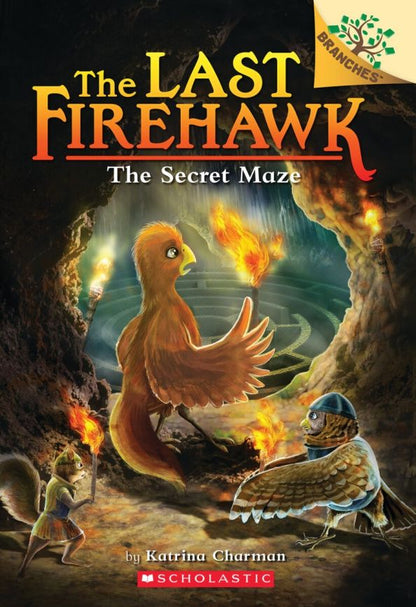 Katrina Charman: The Secret Maze