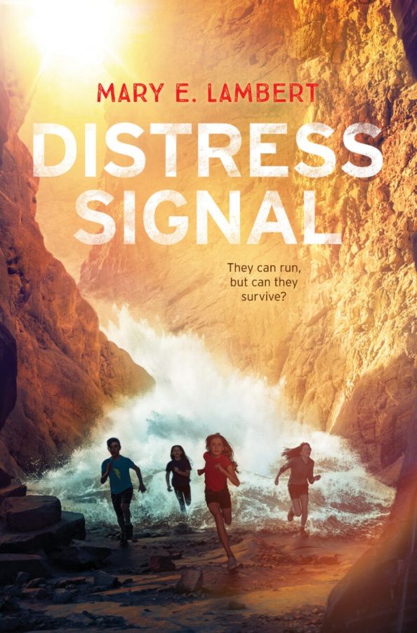 Mary Lambert: Distress Signal