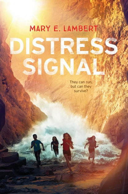 Mary Lambert: Distress Signal