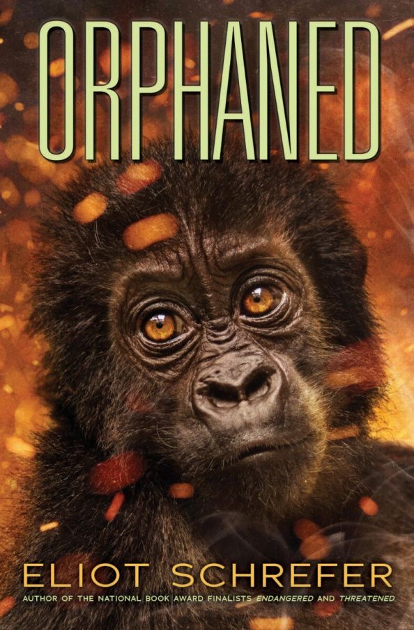 Eliot Schrefer: Orphaned