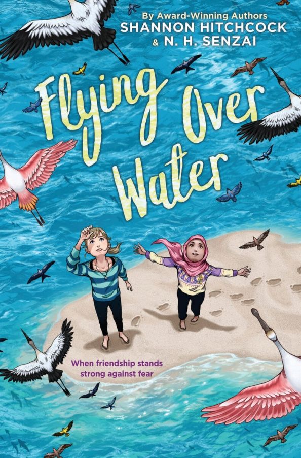 Shannon Hitchcock: Flying Over Water