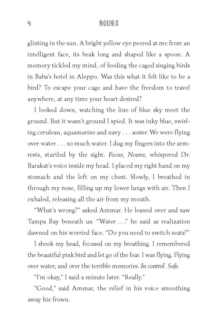 Shannon Hitchcock: Flying Over Water