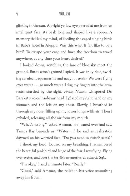 Shannon Hitchcock: Flying Over Water