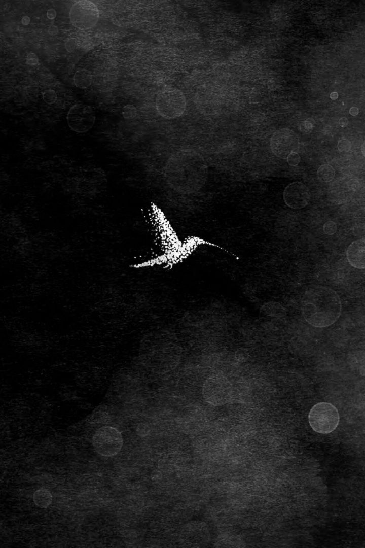 Natalie Lloyd: Hummingbird