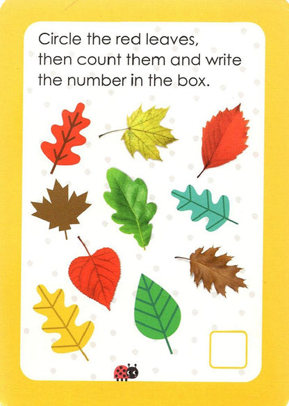 Pre-K Summer Activity Flashcards