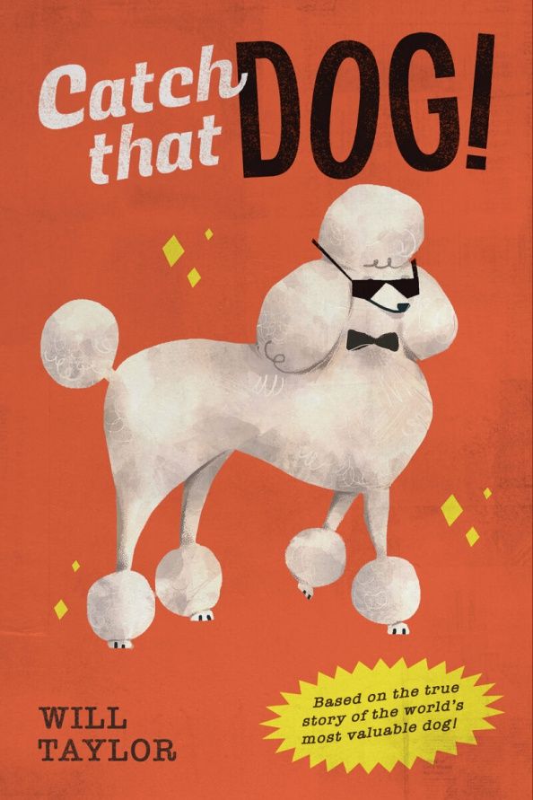 Уилл Тейлор: Catch that Dog