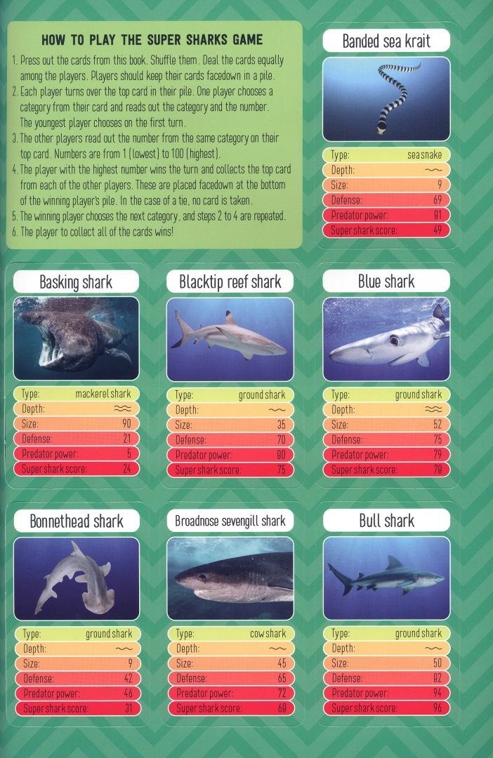 Quick Smarts Sharks Workbook