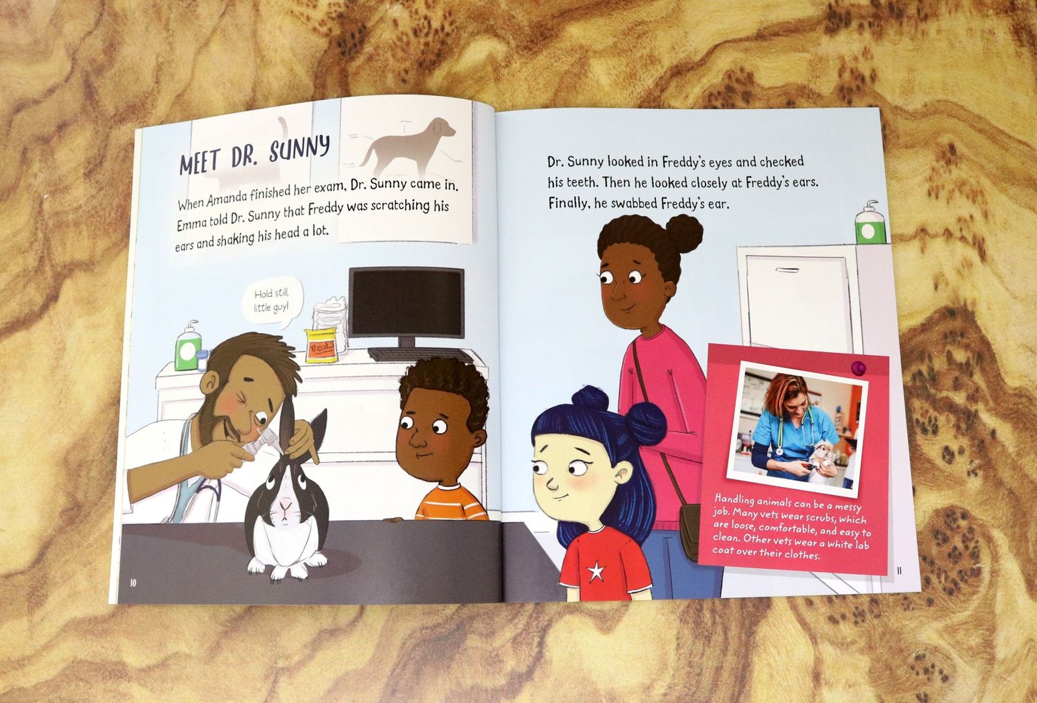 AnnMarie Anderson: Meet a Veterinarian!