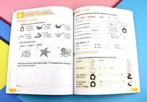 Academy Stars. Level 3. Workbook wich Digital Workbook