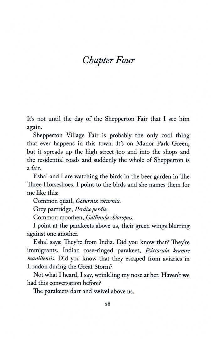 Kirsty Capes: Careless