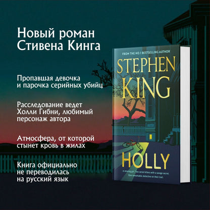 Stephen King: Holly