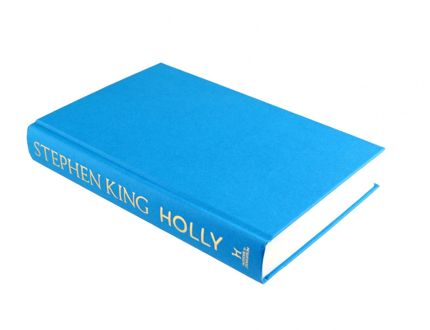 Stephen King: Holly