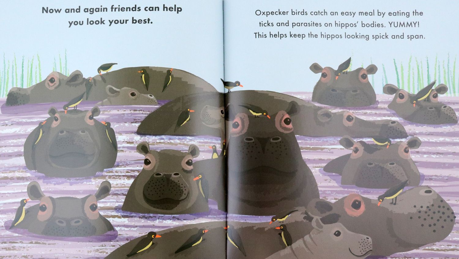 Sophy Henn: All Kinds of Friendst