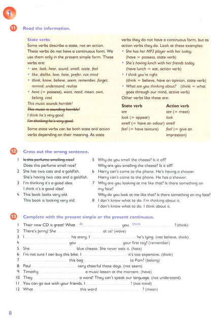 Sandy Jervis: New Grammar Time. Level 5. Student’s Book (+Multi-ROM)