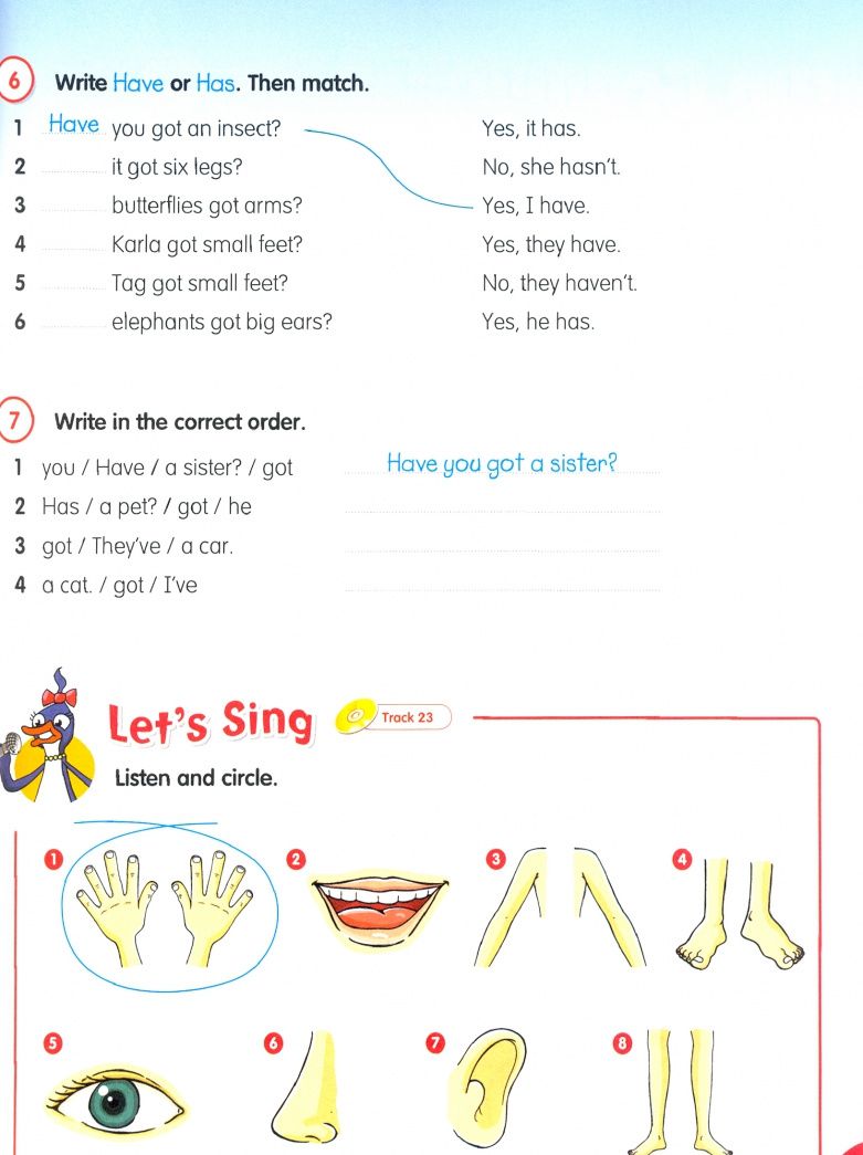 Katerina Stavridou: Fly High. Level 2. Fun Grammar Pupil's Book (+CD)