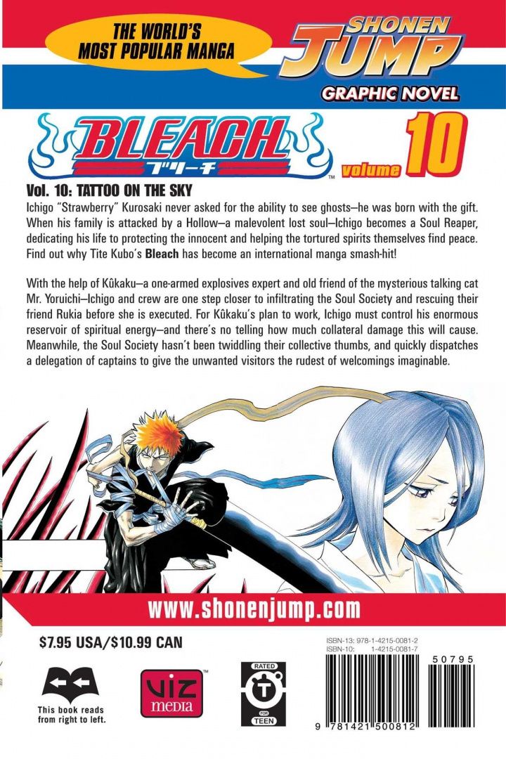 Tite Kubo: Bleach. Volume 10