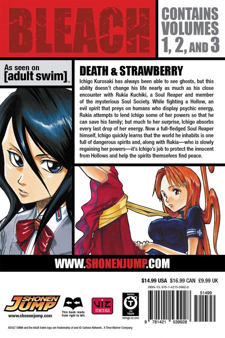 Tite Kubo: Bleach. 3-in-1 Edition. Volume 1