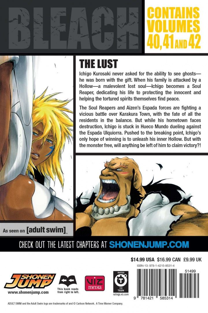Tite Kubo: Bleach. 3-in-1 Edition. Volume 14