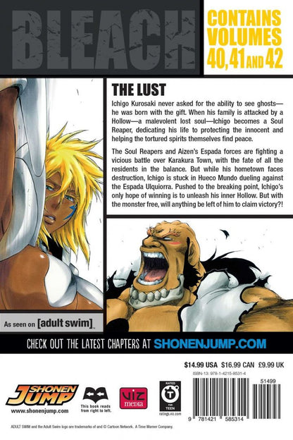 Tite Kubo: Bleach. 3-in-1 Edition. Volume 14