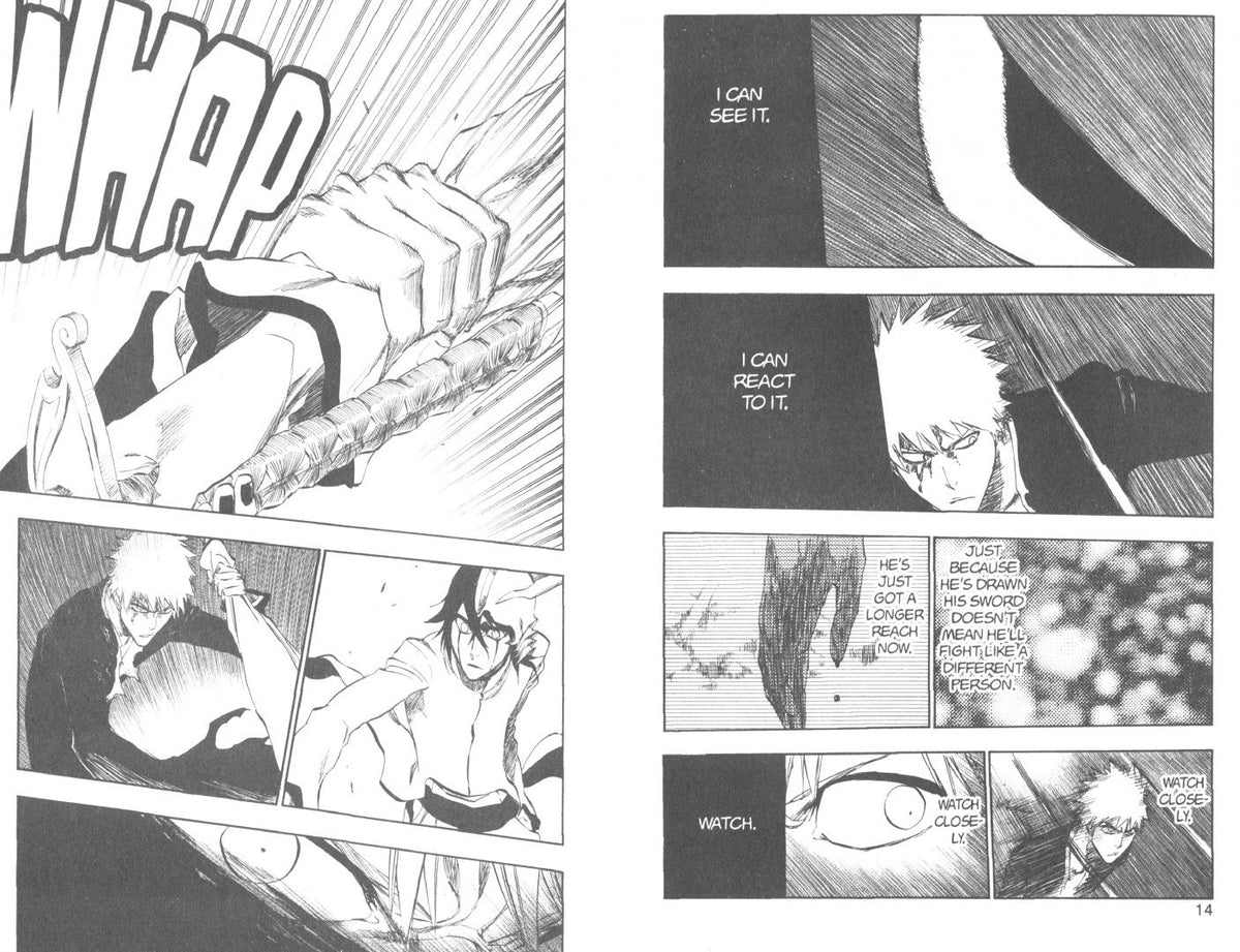 Tite Kubo: Bleach. 3-in-1 Edition. Volume 14