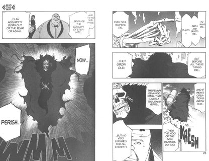 Tite Kubo: Bleach. 3-in-1 Edition. Volume 15