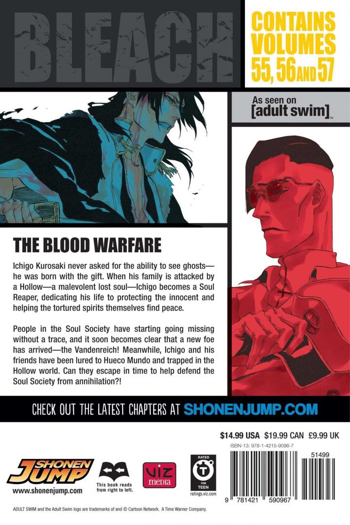 Tite Kubo: Bleach. 3-in-1 Edition. Volume 19