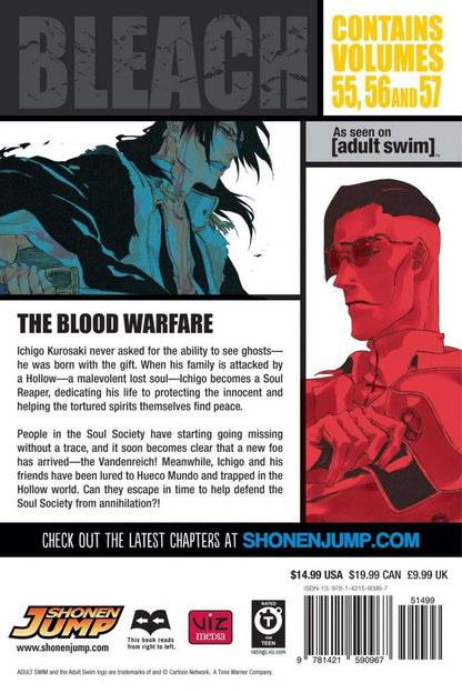 Tite Kubo: Bleach. 3-in-1 Edition. Volume 19