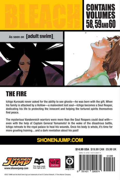 Tite Kubo: Bleach. 3-in-1 Edition. Volume 20