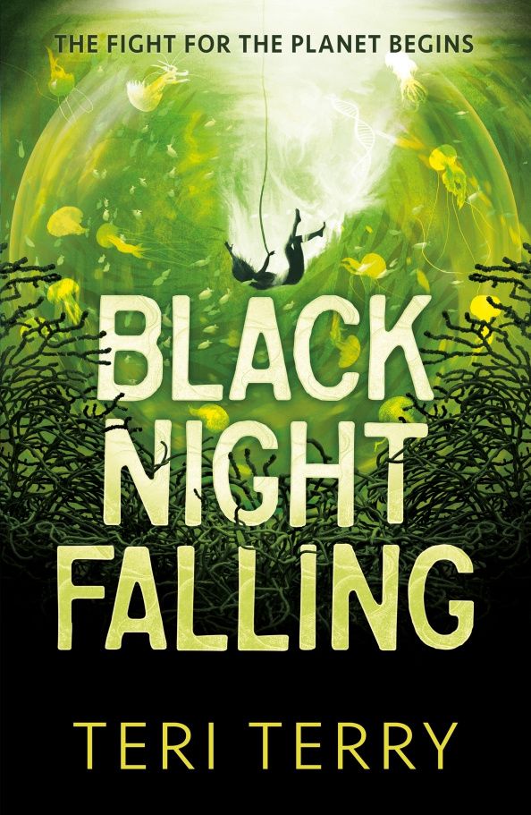 Teri Terry: Black Night Falling