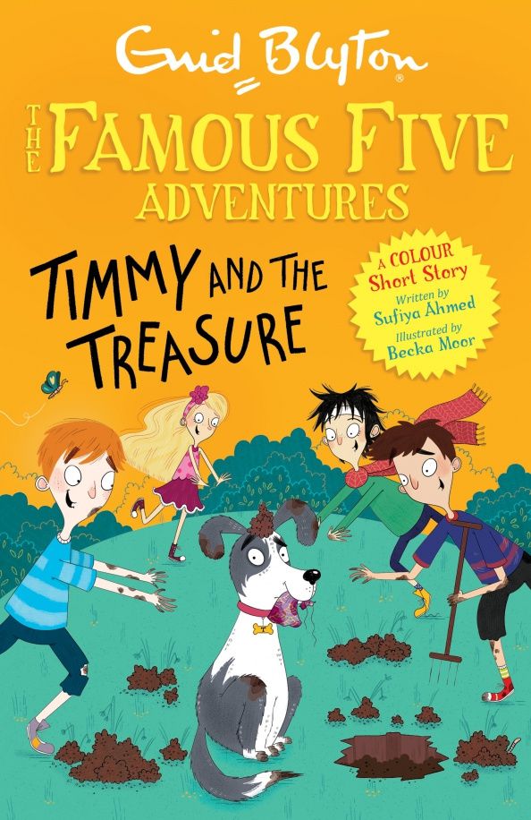 Enid Blyton: Timmy and the Treasure