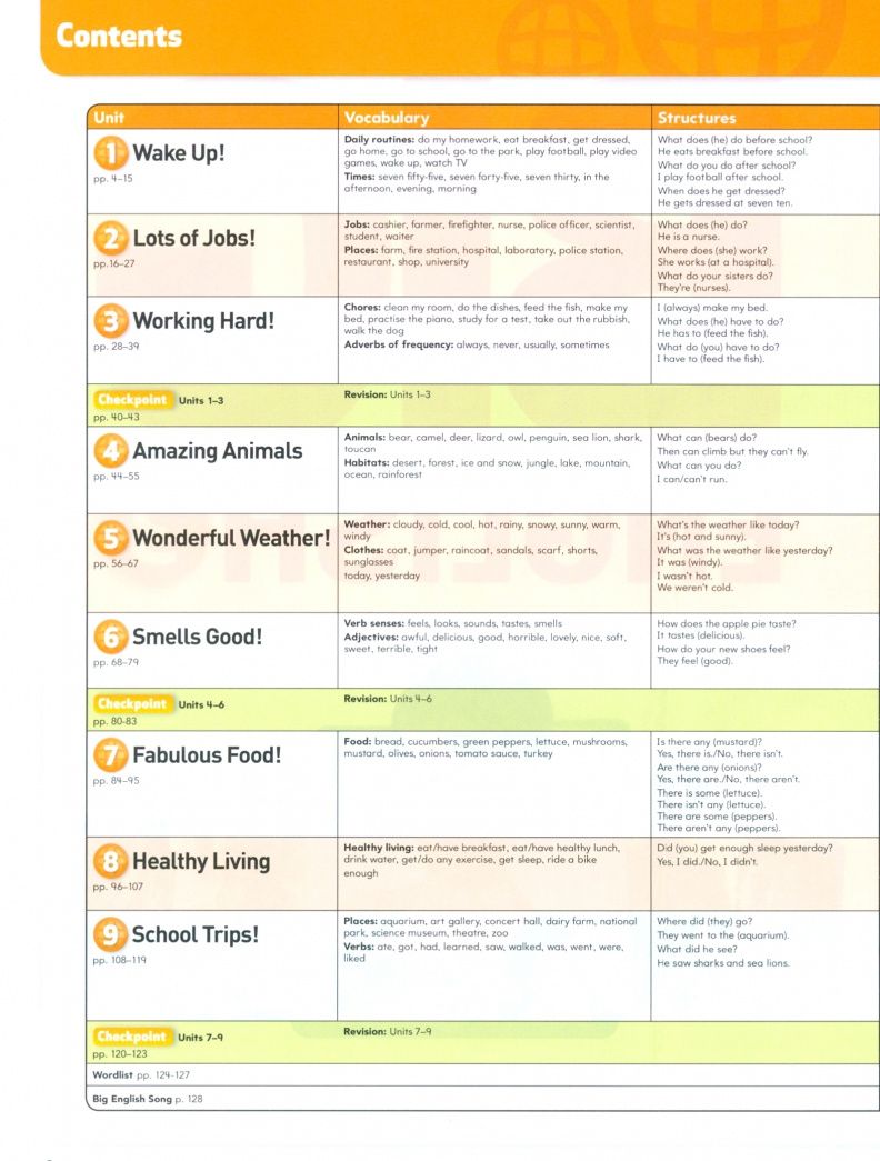 Christopher Cruz: Big English. Level 3. Pupils Book