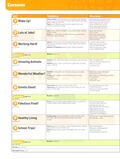 Christopher Cruz: Big English. Level 3. Pupils Book