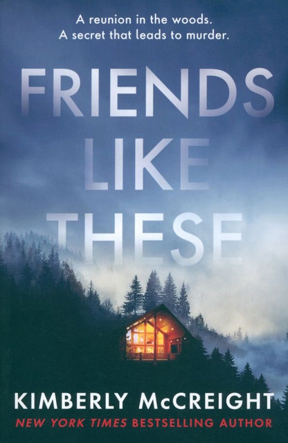 Kimberly McCreight: Friends Like These