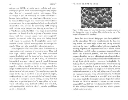 Laurie Winkless: Sticky. The Secret Science of Surfaces