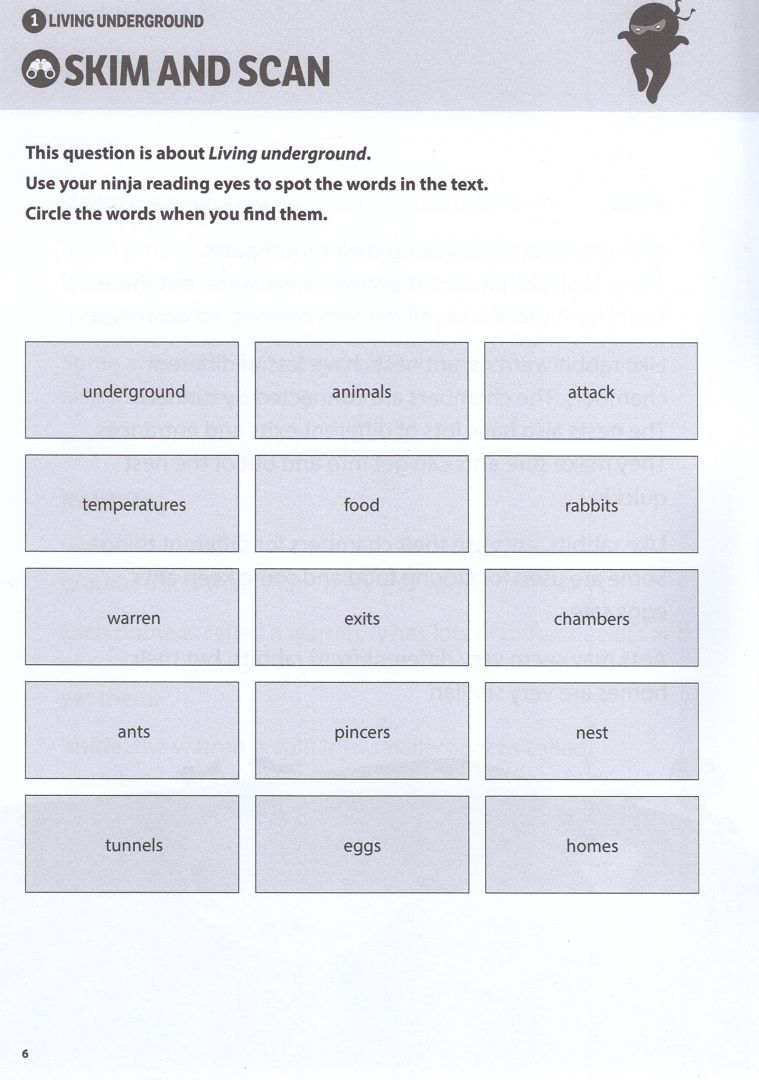 Andrew Jennings: Comprehension Ninja Workbook for Ages 6-7. Comprehension activities to support the National Curricu