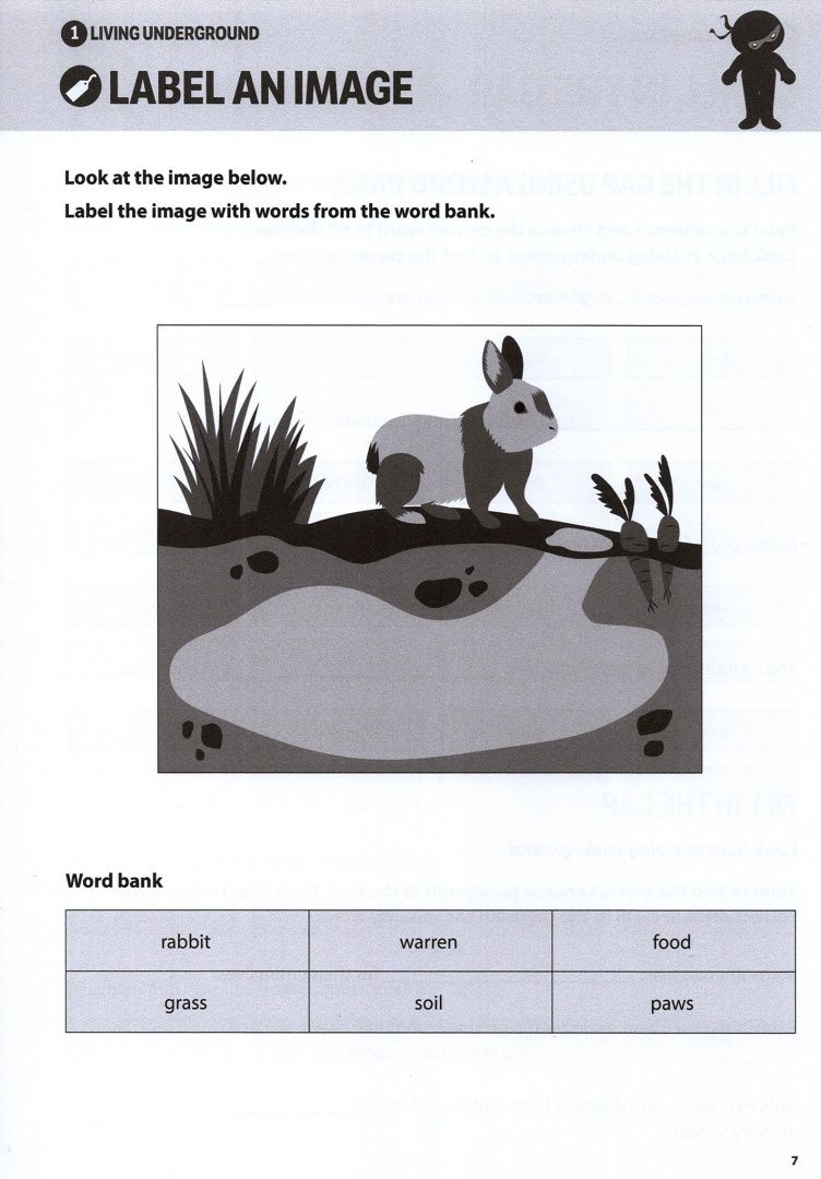 Andrew Jennings: Comprehension Ninja Workbook for Ages 6-7. Comprehension activities to support the National Curricu