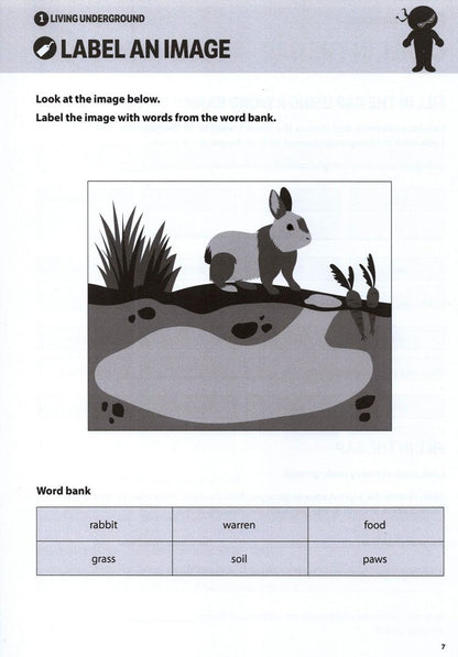Andrew Jennings: Comprehension Ninja Workbook for Ages 6-7. Comprehension activities to support the National Curricu