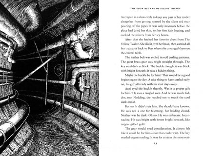 Patrick Rothfuss: The Slow Regard of Silent Things