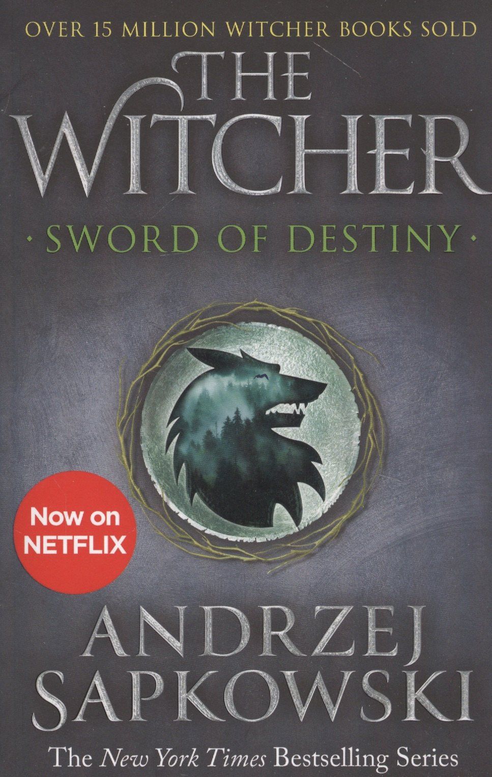 Andrzej Sapkowski: The Witcher. Sword of Destiny