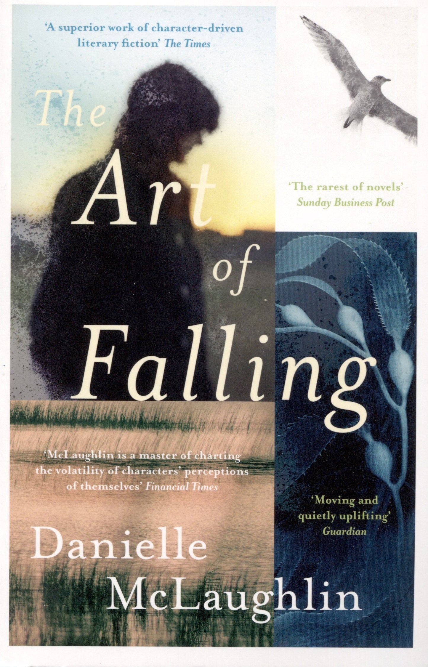 D. McLaughlin: The Art of Falling