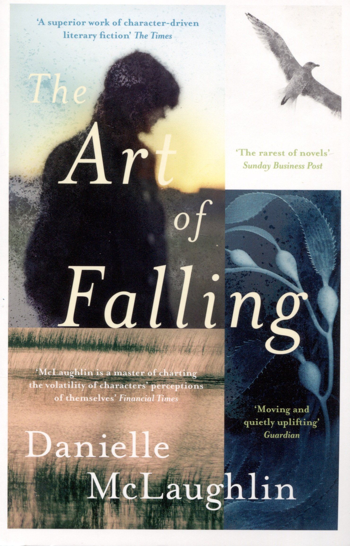 D. McLaughlin: The Art of Falling