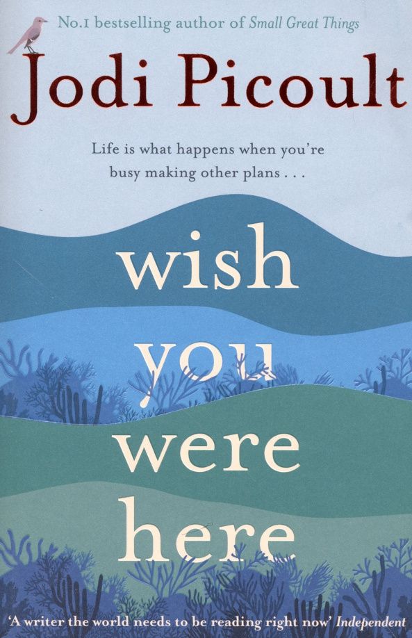 Jodi Picoult: Wish You Were Here