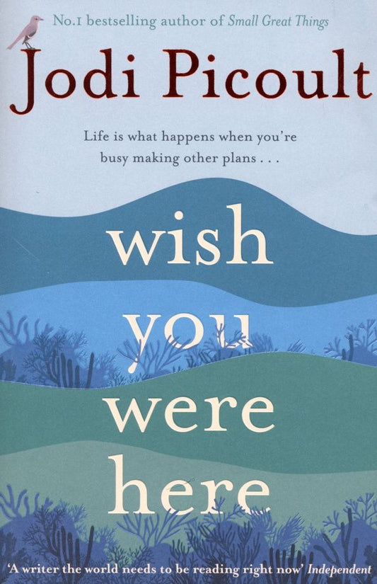 Jodi Picoult: Wish You Were Here